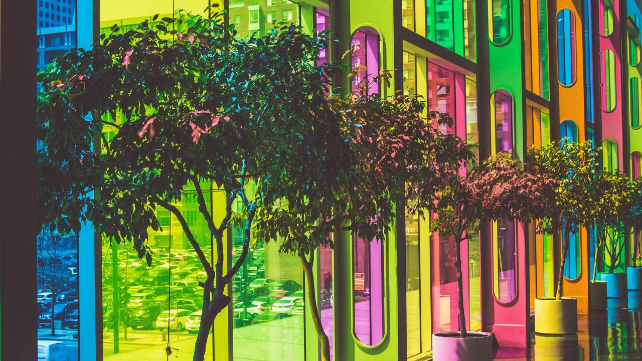 A row of potted plants next to colourful windows